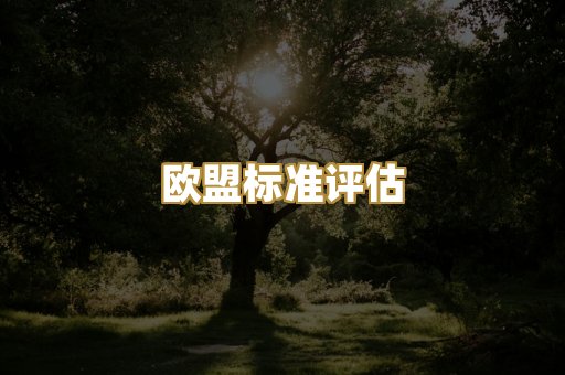 CE认证咨询