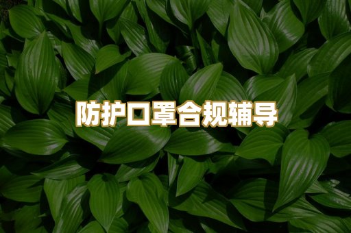 防护口罩合规辅导